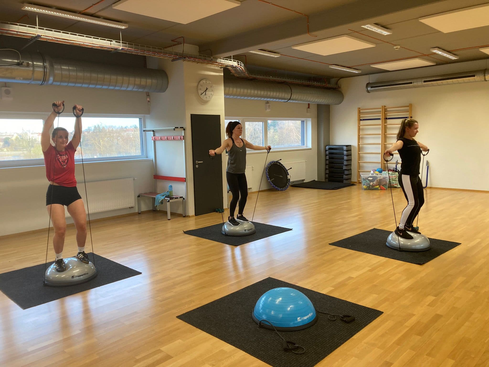 Lekce v ve studiu V-Stepfit